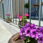 νν Loft Apartment Delphi