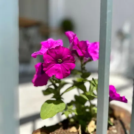 Apartamento νν Loft *