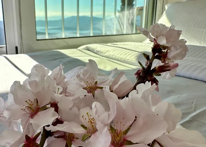 Νν Delphi Loft Appartamento